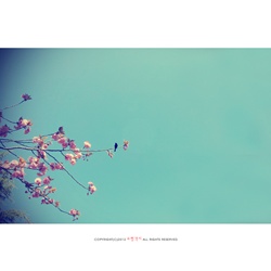 dailyPhoto32